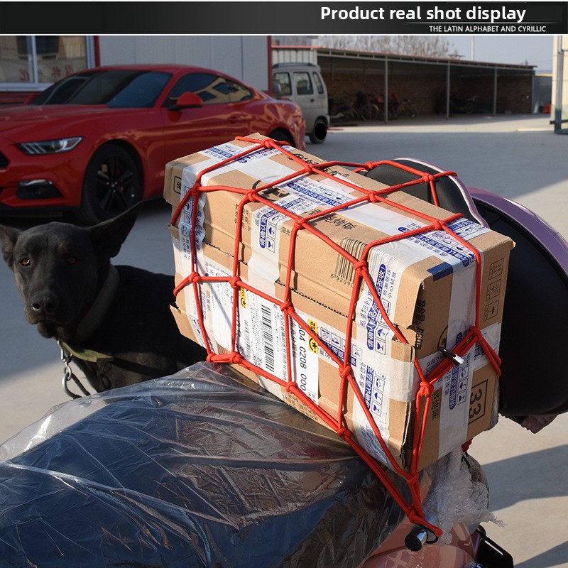 Heavy-Duty Luggage Net - Elast - Car Cargo Net Trunk review and price